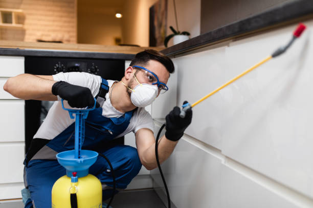 Best Local Pest Control Services  in Warrenton, MO