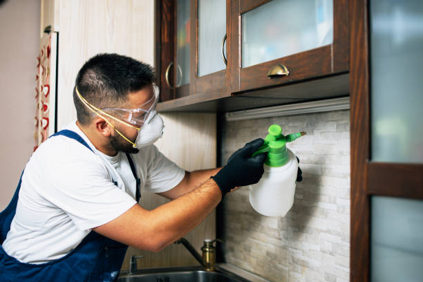 Best Pest Inspection Near Me  in Warrenton, MO