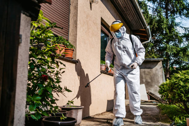 Best Insect Control  in Warrenton, MO