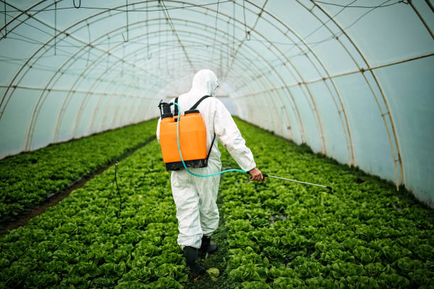 Best Pest Control for Restaurants  in Warrenton, MO