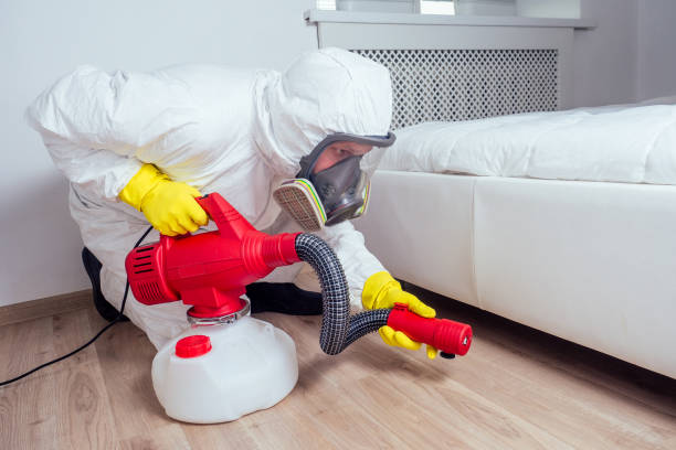 Best Termite Control Services  in Warrenton, MO
