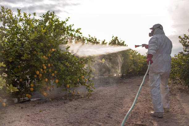 Best Best Pest Control Companies  in Warrenton, MO