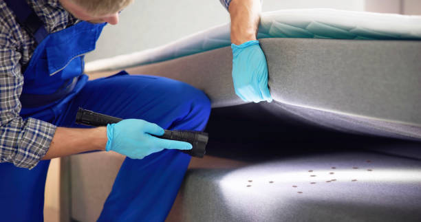 Best Termite Control Services  in Warrenton, MO