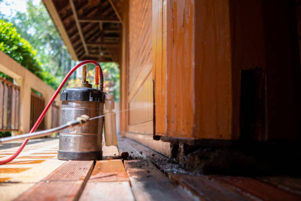 Best Pest Prevention Services  in Warrenton, MO
