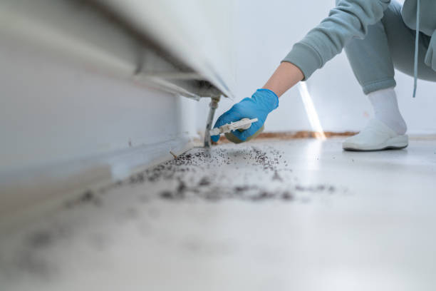 Reliable Warrenton, MO Pest Control Solutions