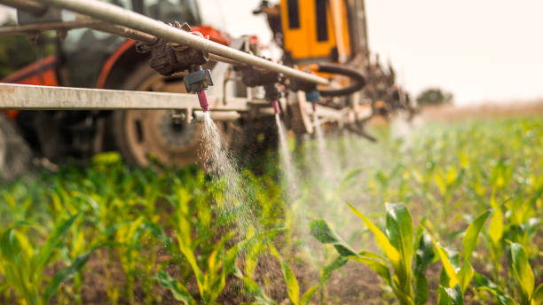 Pest Control Cost in Warrenton, MO